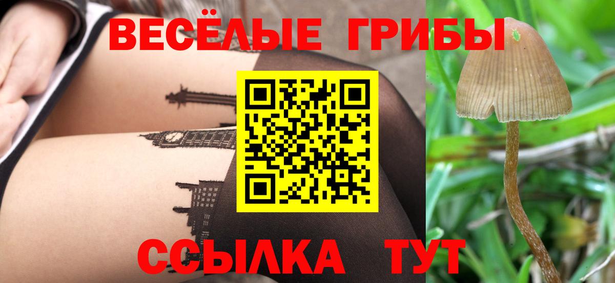 Прохладный  Галлюциногенные грибы прущие грибы  Вход с VPN 