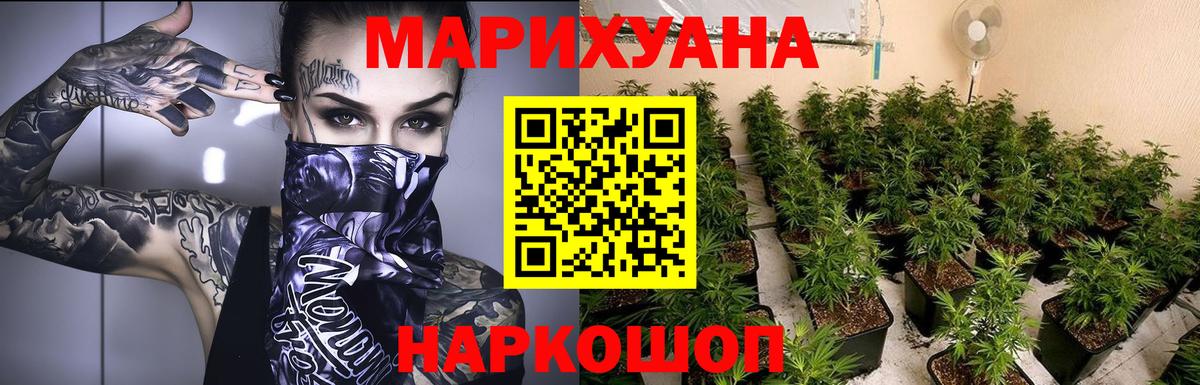 Каннабис индика  Вход с VPN  МАРИХУАНА планчик  Прохладный  Шишки марихуана гибрид 